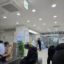 다니엘약국 | 임산부 부비동염(축농증) 약 처방과 관리 후기: 치통, 두통까지?(ft. 신월성 다니엘 이비인후과)