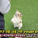 송정이용원 이미지