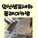 플레이카방 이미지