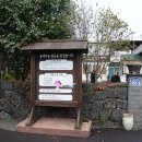 신흥2리(동백마을)농촌체험휴양마을 이미지