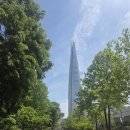 황궁노래광장 - 안산시 상록구 광덕산안길 24 | 2026.5 도쿄 (1) - 마루노우치,라멘 고칸, 머메이드커피, 시이나 링고 공연