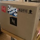 뒤죽박죽 피카소