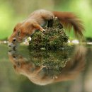 dream of m 이미지