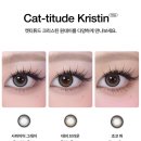 하파크리스틴 타임스퀘어점 이미지