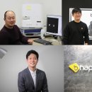 비플렉스