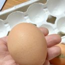 양촌농원 이미지