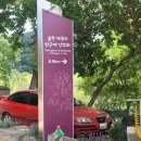 대곡천 | 울산가볼만한곳 반구대암각화 (FEAT. 울산펜션 촌캉스)