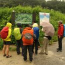 밤재 등산로 이미지