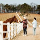 하얀목장 이미지