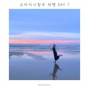 반딧불이 캠프 | 코타키나발루 6박7일 여행 DAY 7 | 봉가완 반딧불이 투어 | 코타키나발루 공항