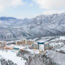 소노캄 델피노C 네이버블로그