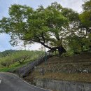 성호3차아파트 옆 | 남파랑길 50코스(17.6km) : 중동근린공원(성호3차아파트 옆) 시작, 성황교, 구봉산 임도, 사곡저수지...