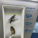 우석헌자연사박물관 이미지