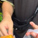 제이정약국