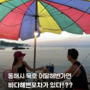 2026년 동해 묵호 바다야외 포장마차 야장술집 어달해변포차 운영기간 및 시간 장소