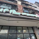 리프패럿다산앵무새체험관 | 아이와 함께 앵무새 카페 이색카페 리프패럿 방문후기