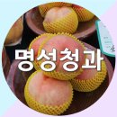 명성청과