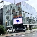 압구정 미용실 뮤에르 청담 압구정로데오 굵은 히피펌 후기