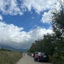 가조온천입구 | [거창 코스모스 명소] 거창 가조온천꽃단지에서 꽃구경하세요🌸