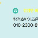 조은주택공인중개사사무소 이미지