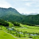 델피노숲 이미지