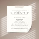 캘리그라피(주) 이미지