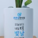 튼튼업한의원 이미지