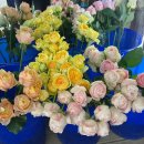 천마초등학교 | 남양주 마석 꽃집 추천, 희림플라워