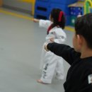 효태권도 이미지