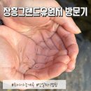 [당일치기 캠핑] 경기도 양주 장흥 그랜드 유원지 방문 후기_취사가능 계곡