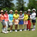 골프이야기 이미지