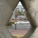 창원대로-2 이미지