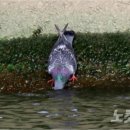 이하형농장 이미지