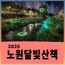 달빛 1교 | 새로운 랜드마크 당현마루와 함께하는 2025 노원달빛산책