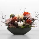 [공지] 에디블가든 아로마 랩 &amp; 에디블가든 창립 10주년 혜택 안내