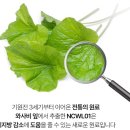 이소