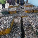 남해젓갈 - 논산시 옥녀봉로27번길 18 | 남해젓갈