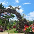 동리1호 이미지