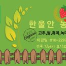 이경일농장 네이버블로그