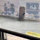 하루멍멍 이미지