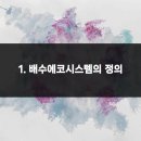 에코 시스템 이미지