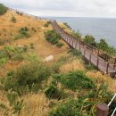 애월 여정 이미지