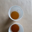 열매이야기 이미지