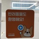 에덴뷰티 | 청주왁싱 에덴뷰티_ 사창동 브라질리언왁싱 잘하는 곳