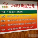 미니아양꼬치&마라탕 네이버블로그