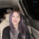 나인퍼플