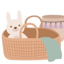 레드앤풀 이미지