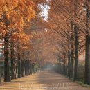 풍류농장2 이미지