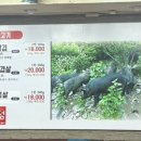 돌판김치생삼겹한점