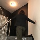 도그 아지트 이미지